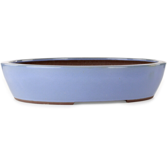 Ovale blauwe bonsaipot van Yamaaki - 477 x 402 x 100 mm