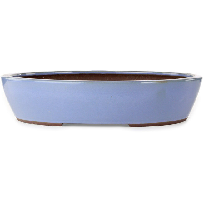 Ovale blauwe bonsaipot van Yamaaki - 477 x 402 x 100 mm
