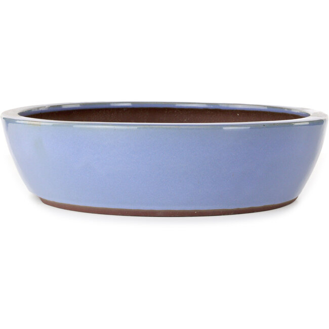 Maceta ovalada azul para bonsái de Yamaaki - 477 x 402 x 100 mm
