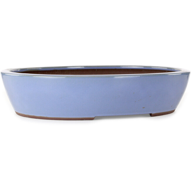 Oval blue bonsai pot by Yamaaki - 477 x 402 x 100 mm