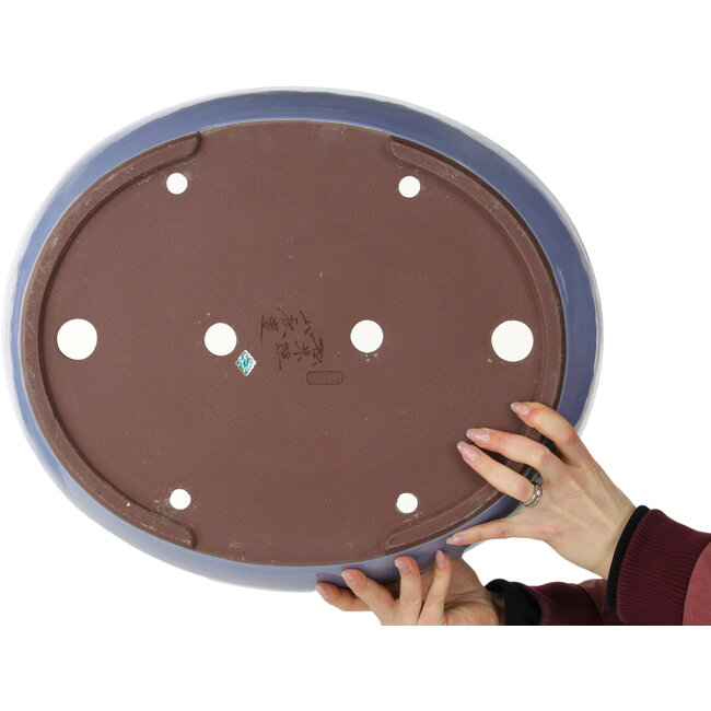 Maceta ovalada azul para bonsái de Yamaaki - 477 x 402 x 100 mm