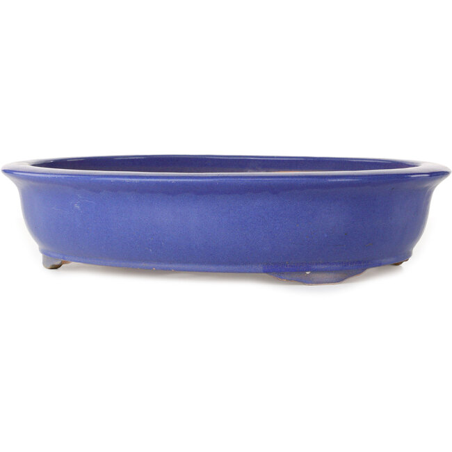 Oval blue bonsai pot - 420 x 342 x 87 mm