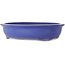 Oval blue bonsai pot - 420 x 342 x 87 mm