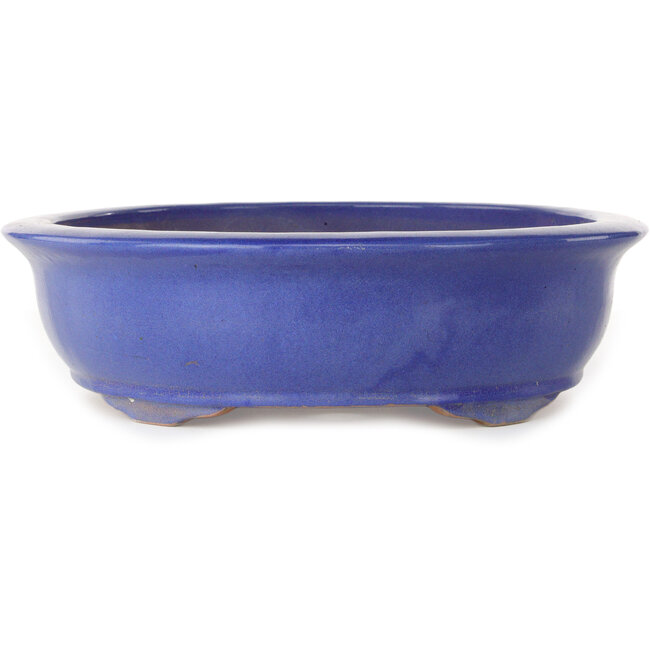 Vaso bonsai ovale blu - 420 x 342 x 87 mm