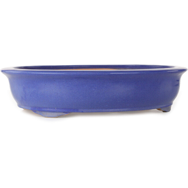 Oval blue bonsai pot - 420 x 342 x 87 mm