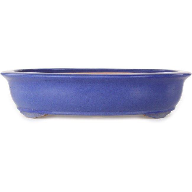 Oval blue bonsai pot - 420 x 342 x 87 mm