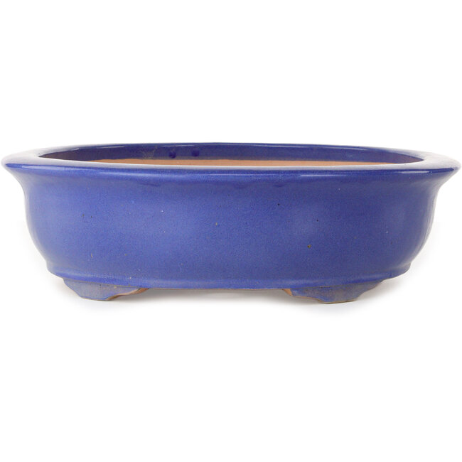 Maceta ovalada azul para bonsái - 420 x 342 x 87 mm