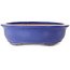 Vaso bonsai ovale blu - 420 x 342 x 87 mm
