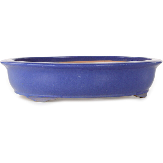 Vaso bonsai ovale blu - 420 x 342 x 87 mm