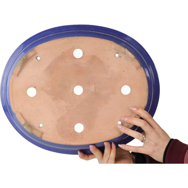 Ovaler blauer Bonsai-Topf – 420 x 342 x 87 mm