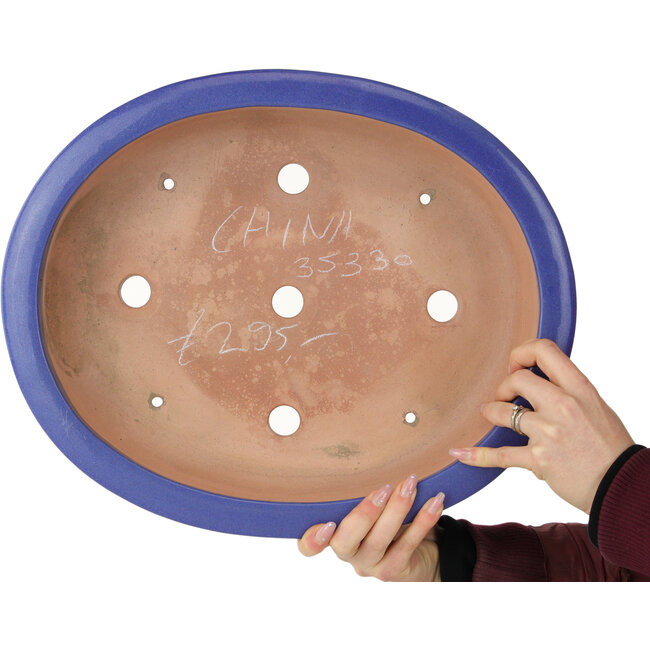 Pot ovale bleu pour bonsaï - 420 x 342 x 87 mm