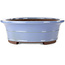 Vaso bonsai ovale blu di Yamaaki - 450 x 360 x 120 mm