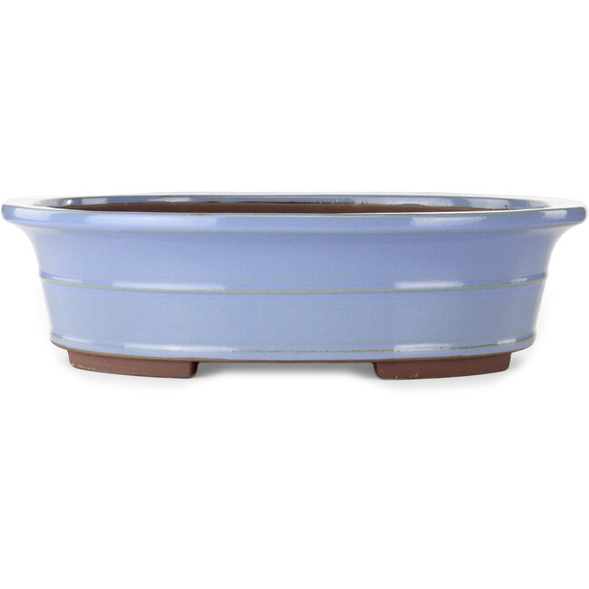 Pot à bonsaï ovale bleu de Yamaaki - 450 x 360 x 120 mm