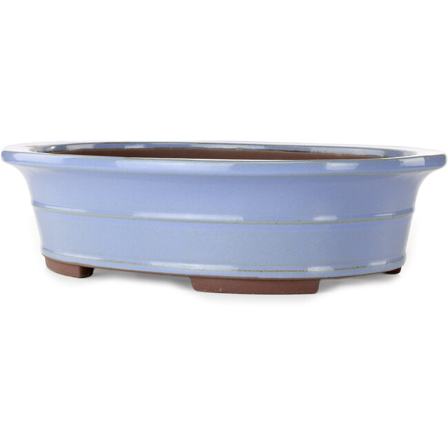 Oval blue bonsai pot by Yamaaki - 450 x 360 x 120 mm