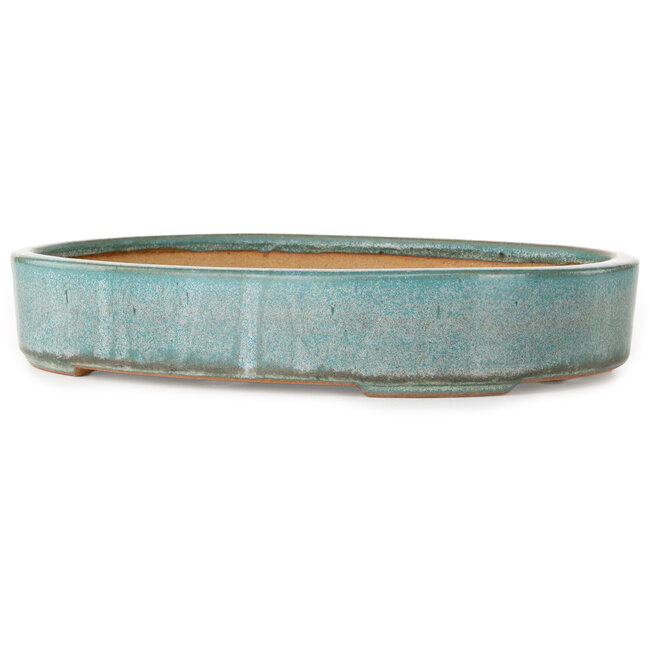 Maceta ovalada turquesa para bonsái de Reiho - 288 x 219 x 50 mm