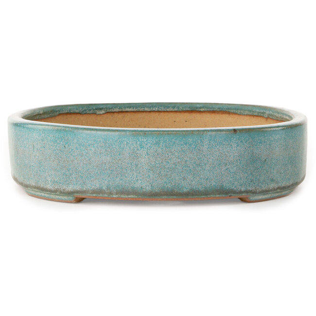 Pot à bonsaï ovale turquoise de Reiho - 288 x 219 x 50 mm
