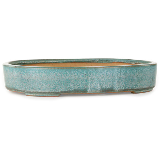 Pot à bonsaï ovale turquoise de Reiho - 288 x 219 x 50 mm