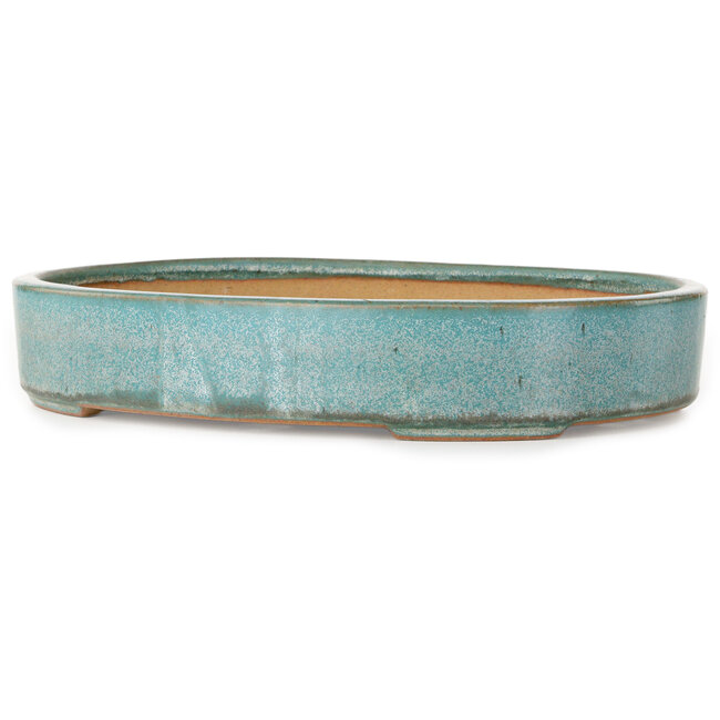 Oval turquoise bonsai pot by Reiho - 288 x 219 x 50 mm
