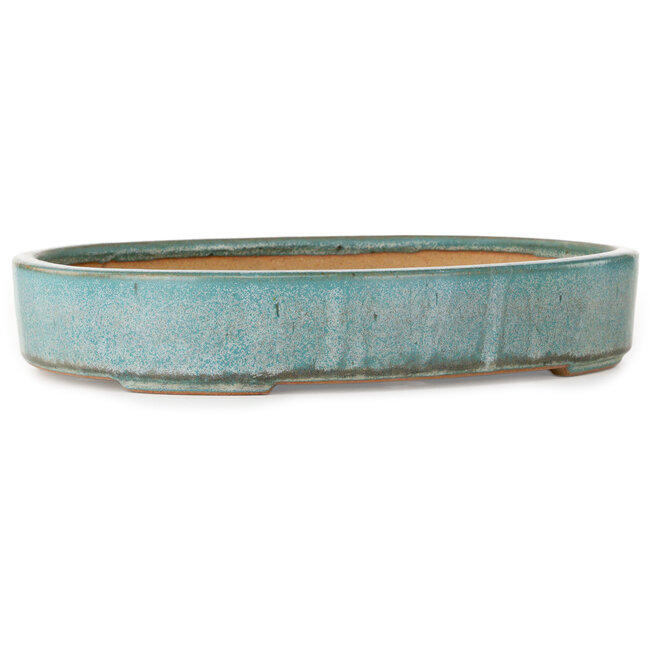 Pot à bonsaï ovale turquoise de Reiho - 288 x 219 x 50 mm