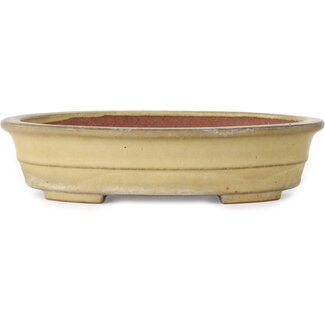 Reihou (Bonsai Matsushita Hiroyuki or Mr.MATSUSHITA Reiji    Master) 258 mm oval beige bonsai pot by Reiho, Tokoname, Japan