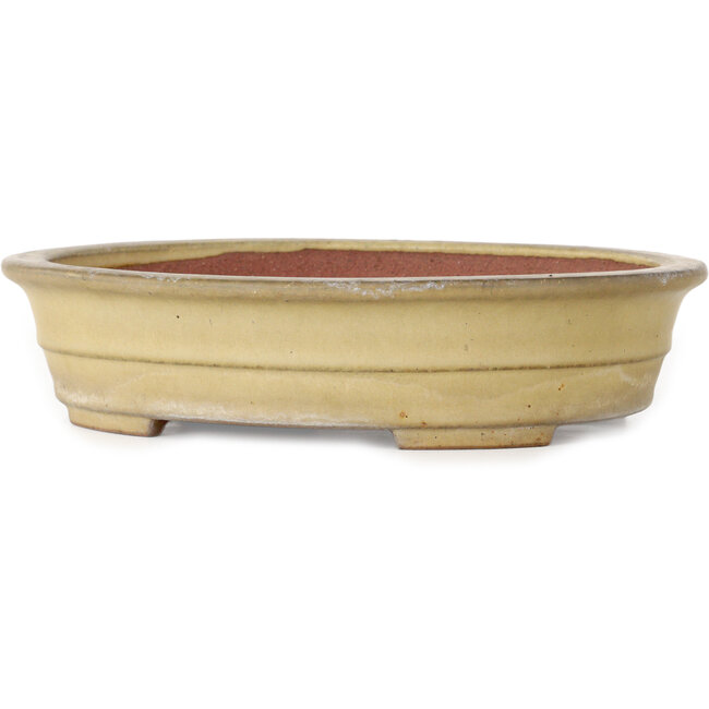 Pot à bonsaï ovale beige de Reiho - 258 x 210 x 62 mm