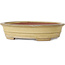 Maceta ovalada beige para bonsái de Reiho - 258 x 210 x 62 mm