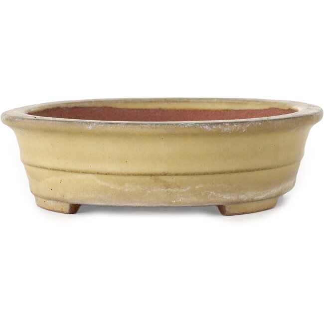 Vaso bonsai ovale beige di Reiho - 258 x 210 x 62 mm