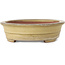 Pot à bonsaï ovale beige de Reiho - 258 x 210 x 62 mm