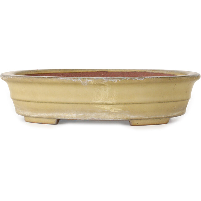 Maceta ovalada beige para bonsái de Reiho - 258 x 210 x 62 mm