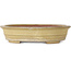 Pot à bonsaï ovale beige de Reiho - 258 x 210 x 62 mm