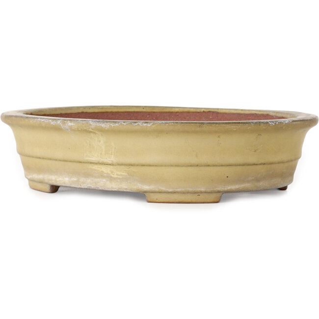 Ovaler, beigefarbener Bonsai-Topf von Reiho – 258 x 210 x 62 mm