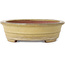 Pot à bonsaï ovale beige de Reiho - 258 x 210 x 62 mm