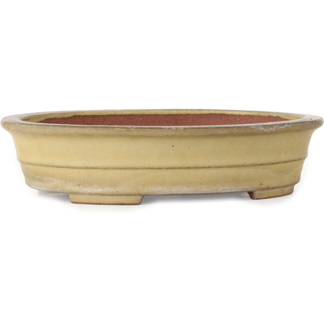 Vaso bonsai ovale beige di Reiho - 258 x 210 x 62 mm
