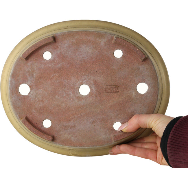 Pot à bonsaï ovale beige de Reiho - 258 x 210 x 62 mm