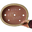 Oval beige bonsai pot by Reiho - 258 x 210 x 62 mm