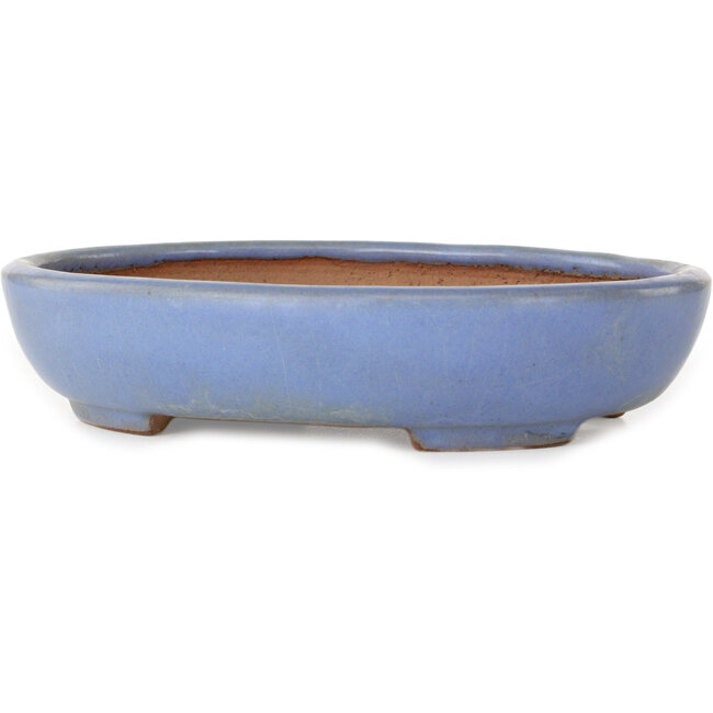 Ovale blauwe bonsaipot van Yamafusa - 190 x 152 x 43 mm