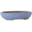 Maceta ovalada azul para bonsái de Yamafusa - 190 x 152 x 43 mm