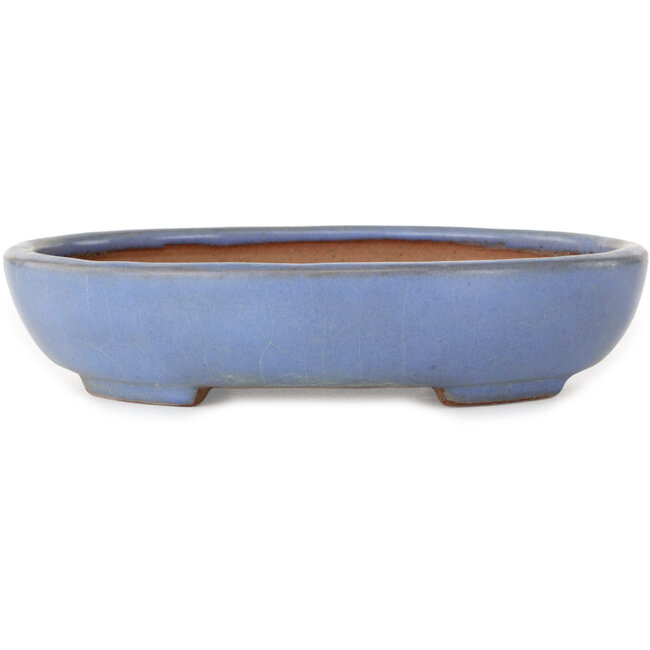 Ovaler blauer Bonsai-Topf von Yamafusa – 190 x 152 x 43 mm