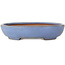 Ovale blauwe bonsaipot van Yamafusa - 190 x 152 x 43 mm