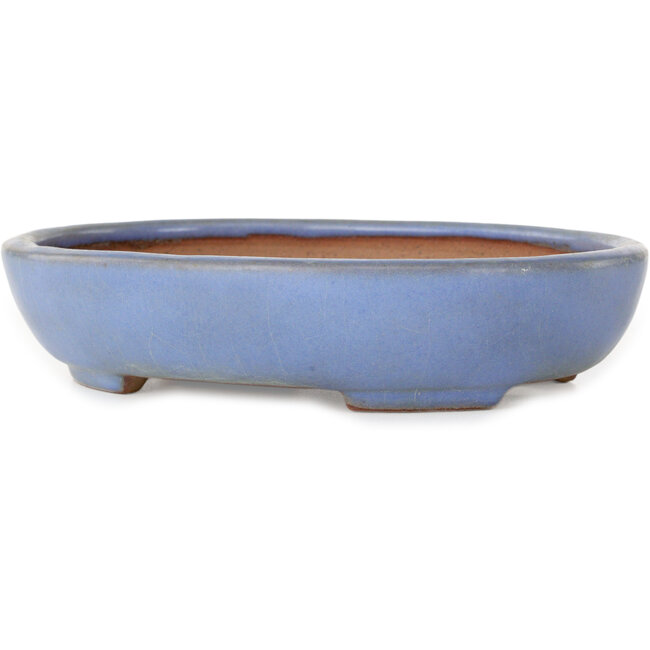 Pot ovale bleu pour bonsaï de Yamafusa - 190 x 152 x 43 mm