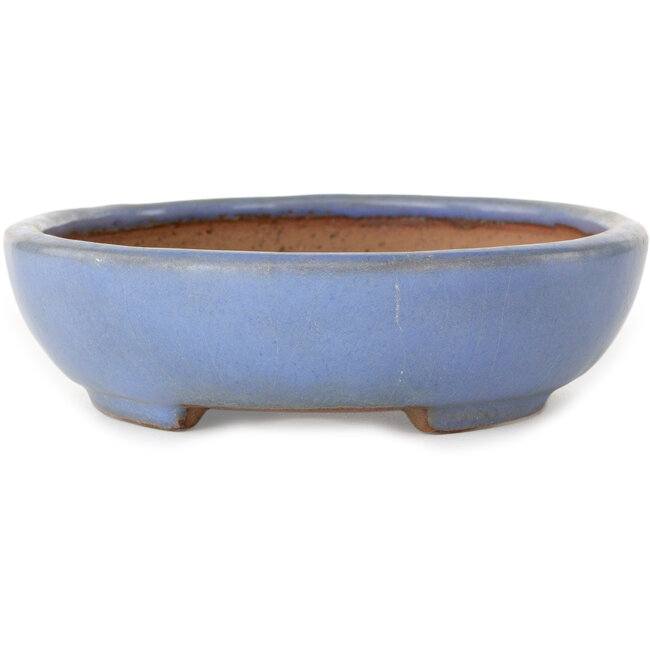 Vaso bonsai ovale blu di Yamafusa - 190 x 152 x 43 mm