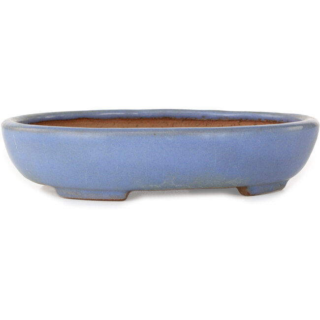 Ovale blauwe bonsaipot van Yamafusa - 190 x 152 x 43 mm
