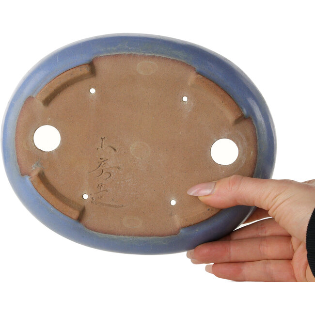 Ovale blauwe bonsaipot van Yamafusa - 190 x 152 x 43 mm