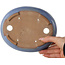 Pot ovale bleu pour bonsaï de Yamafusa - 190 x 152 x 43 mm