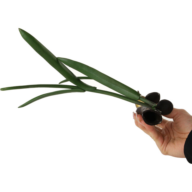 Tenpai aus Bronze – 270 x 128 x 165 mm