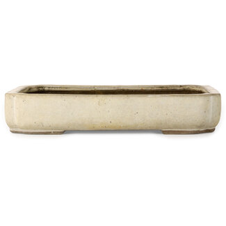  Shuuhou (Hidemi Kataoka) Mokko gebroken witte bonsaipot van 422 mm van Shuhou, Tokoname, Japan