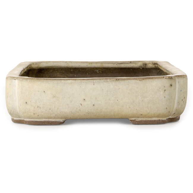 Pot à bonsaï Mokko blanc cassé de Shuhou - 422 x 297 x 75 mm