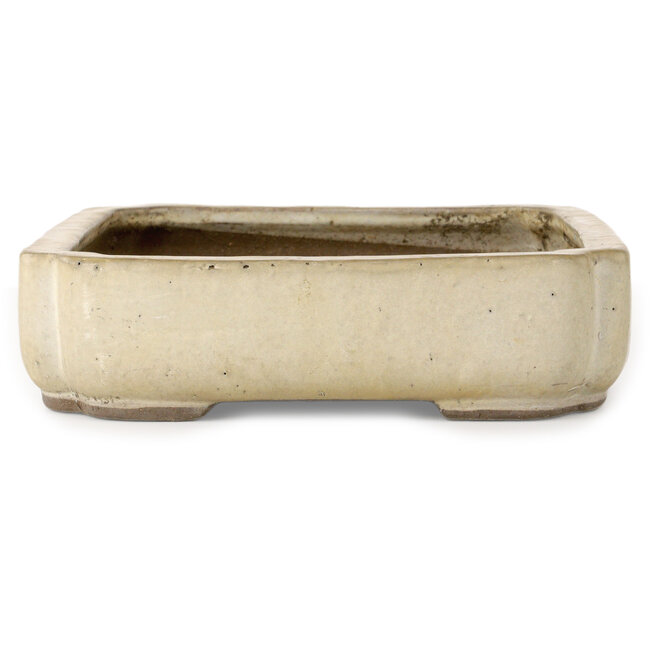 Maceta para bonsái Mokko en color blanco roto de Shuhou - 422 x 297 x 75 mm