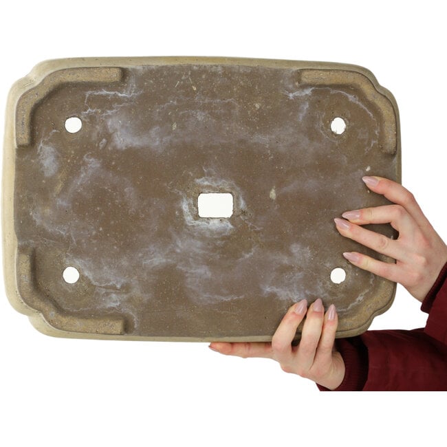 Pot à bonsaï Mokko blanc cassé de Shuhou - 422 x 297 x 75 mm