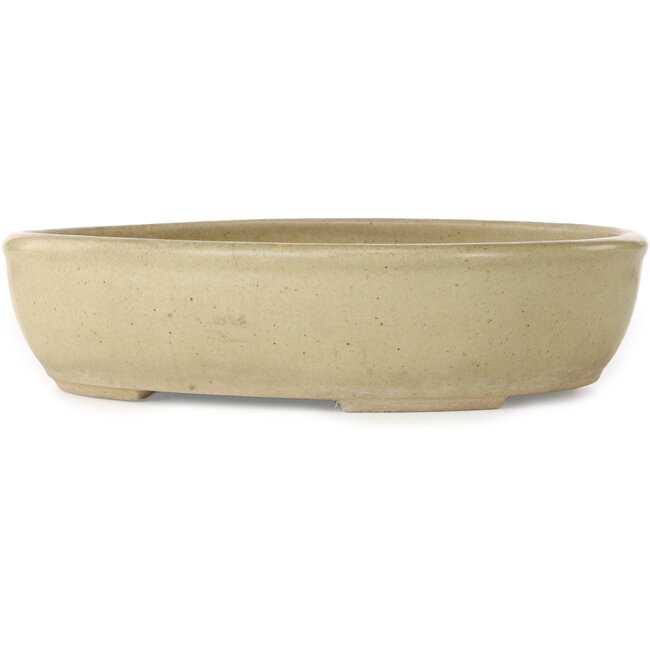 Pot à bonsaï ovale blanc cassé - 380 x 302 x 87 mm